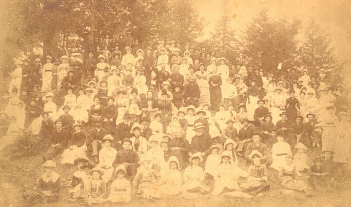 Photograph of picnic at Playfairville, Ont., possibly 1880's