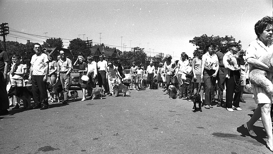 Free rabies clinic, Toronto, 1970.