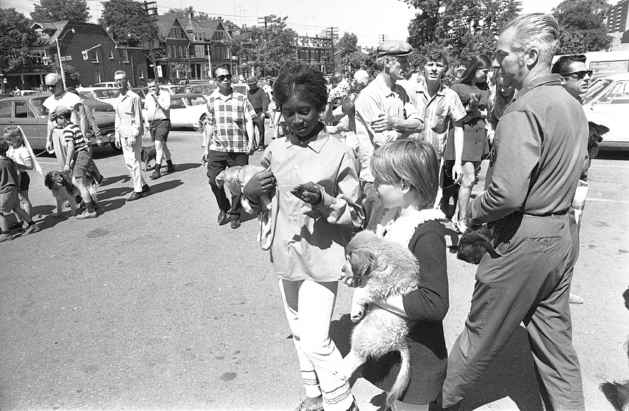 Free rabies clinic, Toronto, 1970.