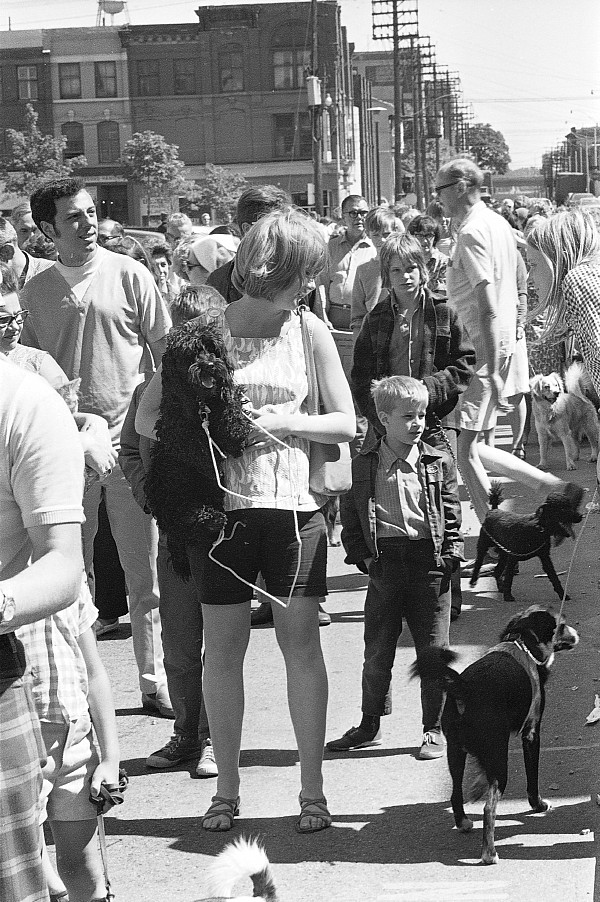 Free rabies clinic, Toronto, 1970.